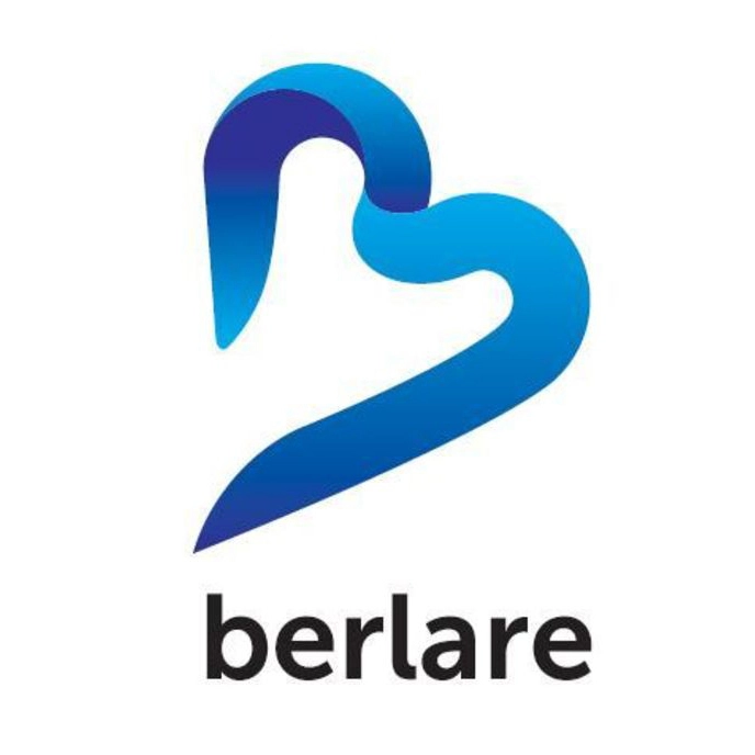 Logo van stad Berlare